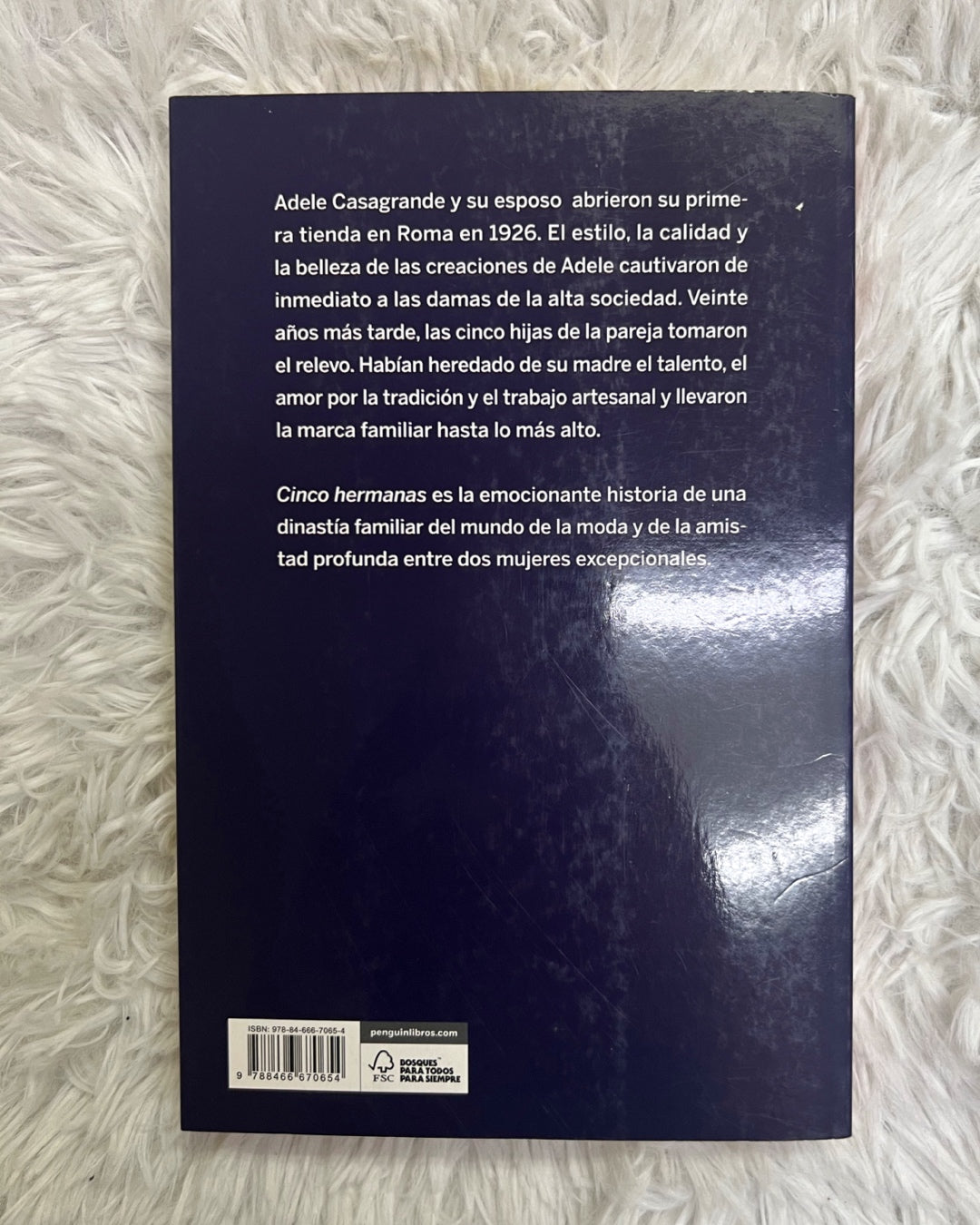 Libro-Cinco hermanas