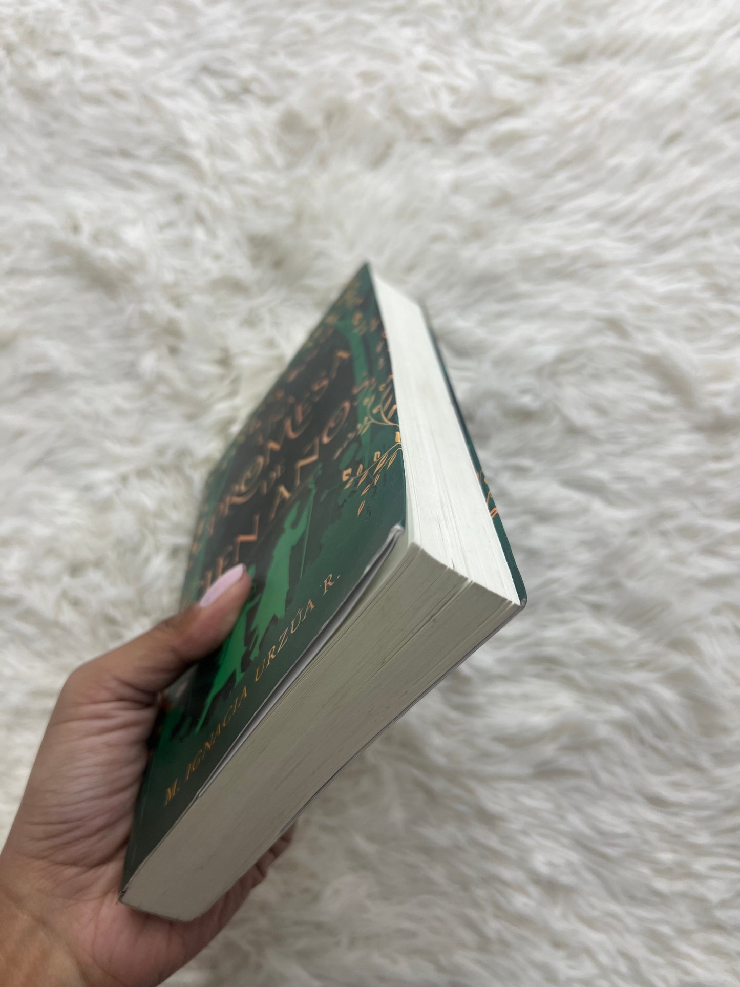 Libro :Una promesa de cien años