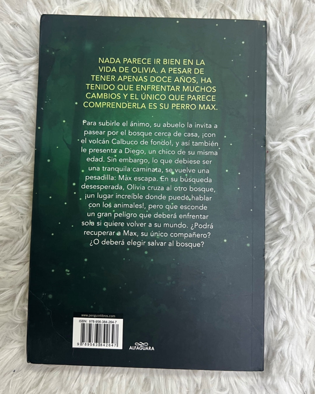 Libro-El otro bosque