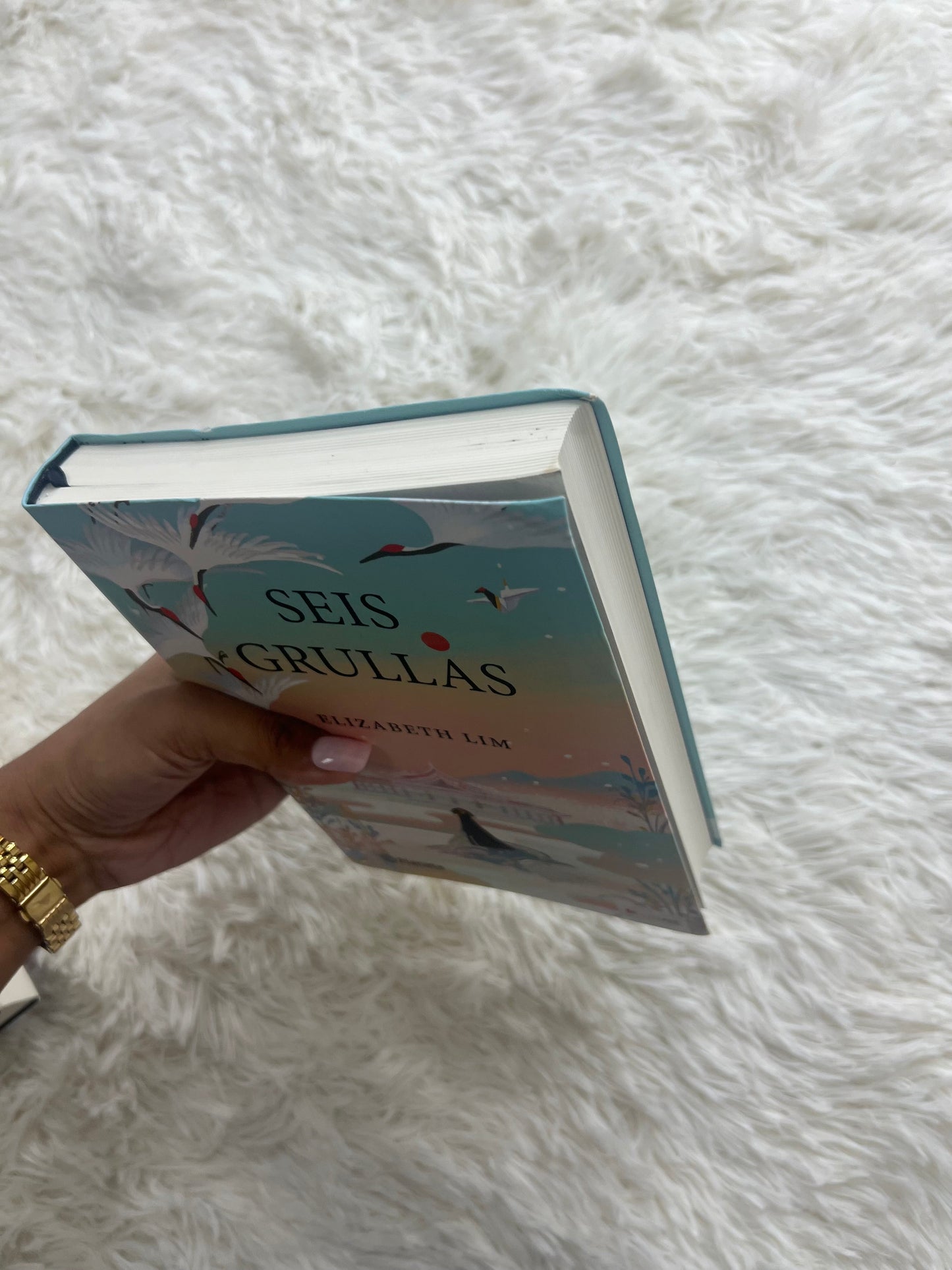 Libro :6 grullas (1)