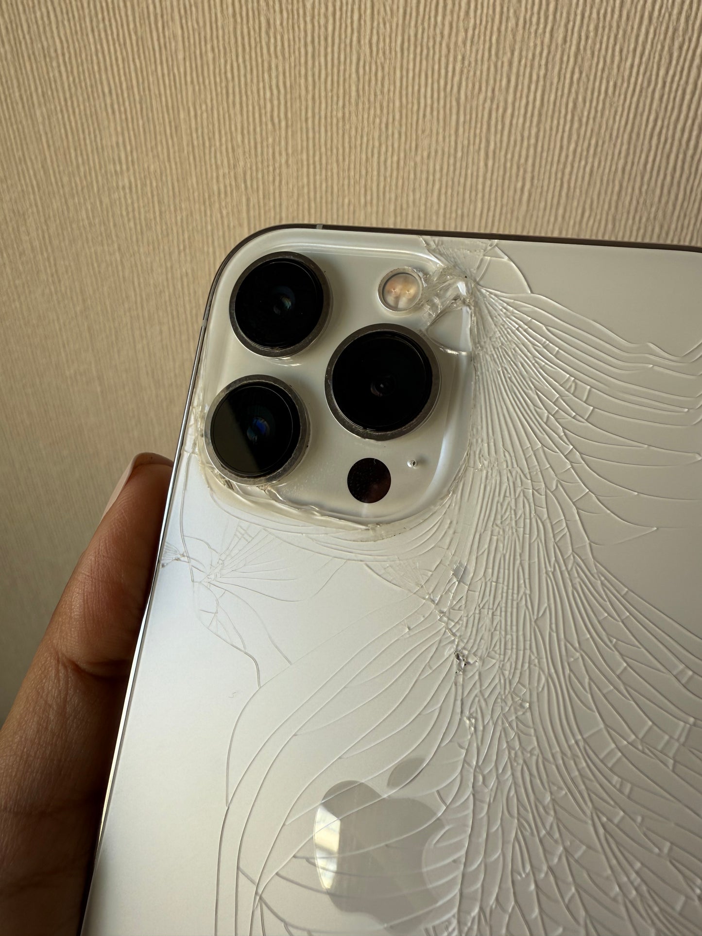 iPhone 13 Pro max